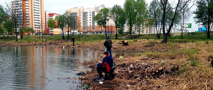 ст29_4.jpg