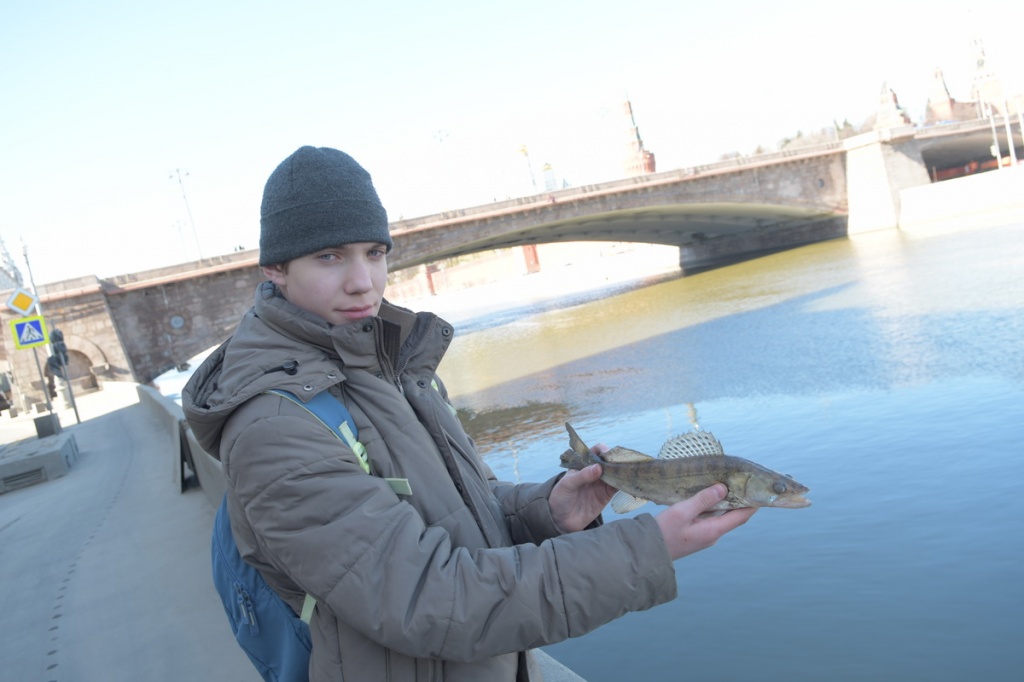 DSC_6600.JPG DSC_6600.JPG