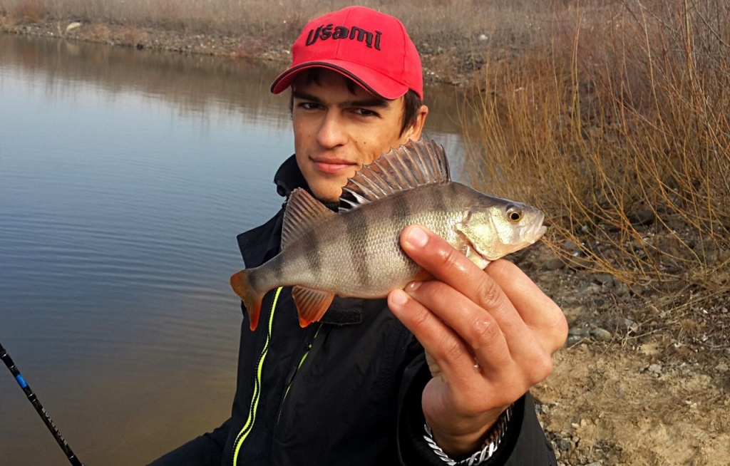 Рыбалка на озерах на окуня