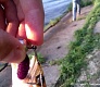 Слушай в себе рыбака!
