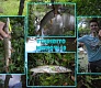 Новинки 2015. Tsuribito Minnow