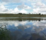 Несколько слов о серии воблеров Tsuribito Jerkbait
