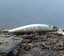 Tsuribito Minnow 95SP. Уловистый шедевр