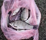 Рыбалка и мелочи, которые делают её комфортной