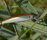 Новинки 2015. Tsuribito Minnow