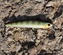 Новинка - воблеры Tsuribito Smash Minnow 90F/90SP