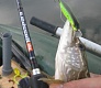 Мелководный убийца «Tsuribito Dead Minnow»