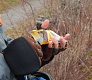 Море, окунь, друзья и Trout Pro G-force 2000