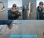Несколько слов о серии воблеров Tsuribito Jerkbait