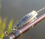 Tsuribito Minnow 42 и 50. Вечер на домашнем водоеме.