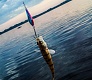 Tsuribito Supersoft vs проверенные воблеры Dead Minnow и Masu Tsuri