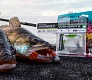 По новым точкам с эхолотом наперевес