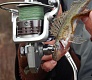 Море, окунь, друзья и Trout Pro G-force 2000