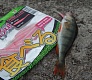 Тестирование силикона Trout Pro: Yujiro и Okinawa