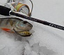 Tsuribito-Jackson Sweetwater SWR 662L. Твитч.