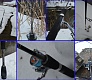 Обзор спиннинга Tsuribito The Dogm 632L