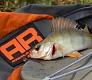 Trout Pro Kani. Доступная микроджиговая приманка.