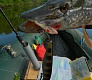 Младший мелководный убийца Dead Minnow 70F, 70SP, 70SS