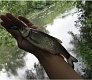 За город на голавля - Tsuribito Sexy Minnow 25F