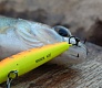 Tsuribito Minnow 42 и 50. Вечер на домашнем водоеме.