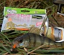 Trout Pro Kani. Доступная микроджиговая приманка.