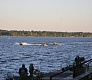 Adrenalin Open 2015, первый день соревнований