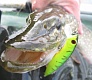 Мелководный убийца «Tsuribito Dead Minnow»