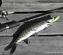 Обзор TSURIBITO MINNOW 80