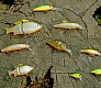 Новинки воблеров Tsuribito 2012
