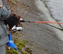 Море, окунь, друзья и Trout Pro G-force 2000