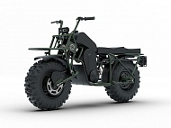 Мотовездеход Baltmotors ATV2x2 F - Z225Z (мотоцикл)