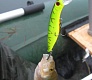 Мелководный убийца «Tsuribito Dead Minnow»