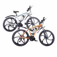 Электровелосипед Ecobike ECOFFECT RUSH