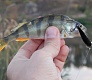 Tsuribito Jerkbait 50F-SR. Просто хороший воблер