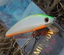 На малой речке (тестирование Tsuribito Minnow 60F и 80SP)