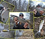 Несколько слов о серии воблеров Tsuribito Jerkbait