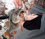 Trophy «bass» & Tsuribito Porky Chunk Jr.