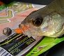 Trout Pro Kani. Доступная микроджиговая приманка.