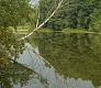 Новинки 2015. Tsuribito Minnow