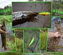 Новинки 2015. Tsuribito Minnow