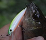 Новинки 2015. Tsuribito Minnow