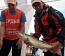 Adrenalin Open 2015, первый день соревнований